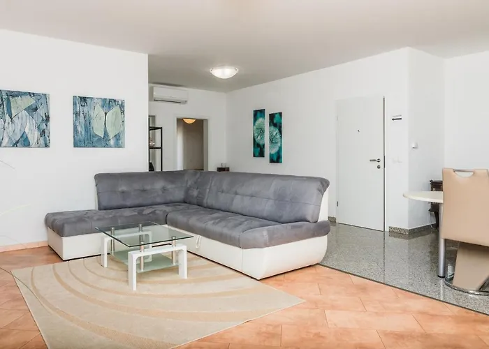 Marcel 诺维·维诺多尔斯基